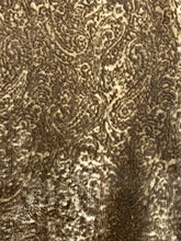 Load image into Gallery viewer, Griffin (Velvet)