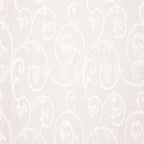 Anaiz Sheer