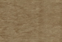 Load image into Gallery viewer, Serenade 555