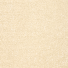 Load image into Gallery viewer, Everest
