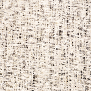 Cerruti 233